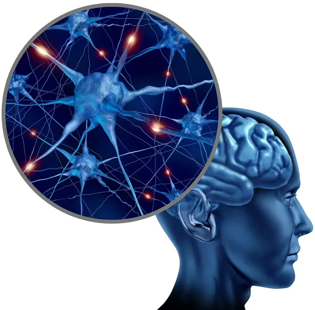 Magnified diagram of a neural network