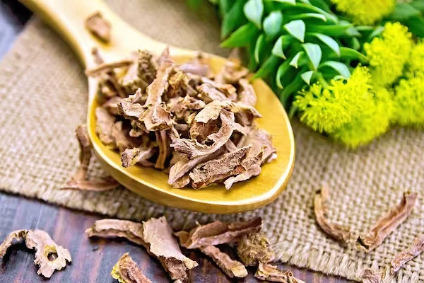 Dried rhodiola rosea root